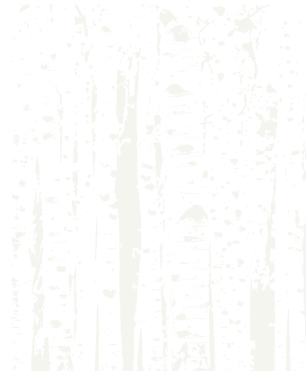 Birch Pattern