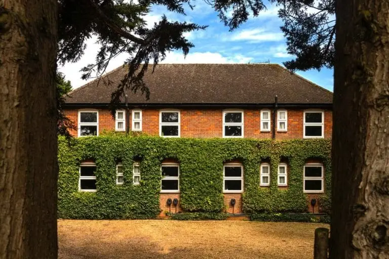 About Us 2 abbington house back